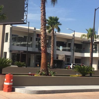 PLAZA PASEO DEL SUR + | Vendo y Rento