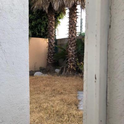 BOSQUES DE ANGELÓPOLIS  | Venta y renta en Puebla