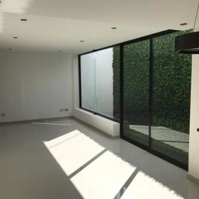 Camelias | Venta-renta