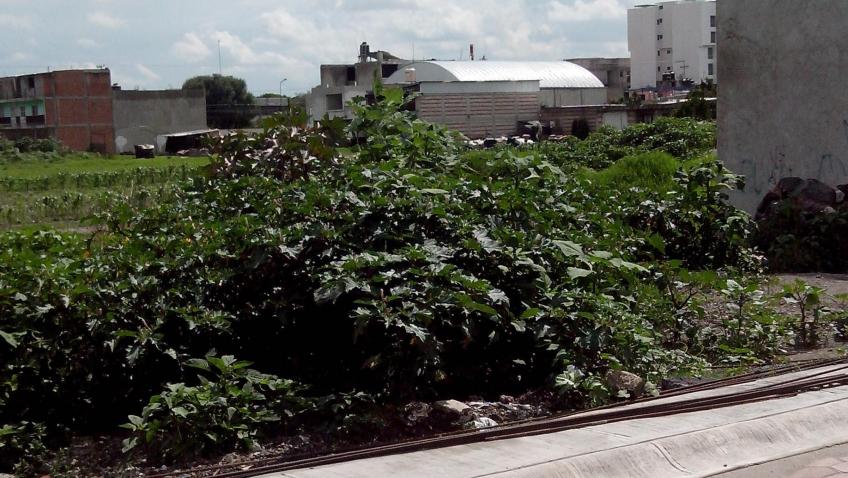 Terreno en Venta, TERRENOS EN VENTA SAN ANDRÉS CHOLULA.  | Se encuentra ubicado en SAN ANDRÉS CHOLULA, PUEBLA | 