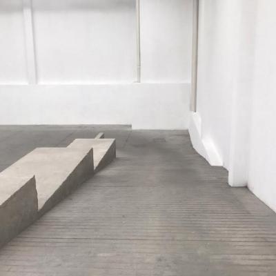 BODEGA 25 SUR, COL. BENITO JUÁREZ 1000m2 ## | Vendo y Rento