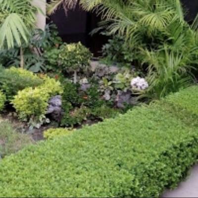 PUERTA DE HIERRO ## | Venta y renta en Puebla