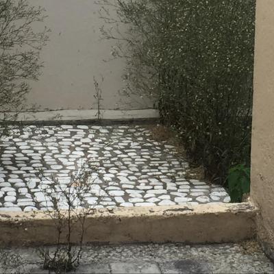 FARCC.PONTEVEDRA | Venta y renta en Puebla