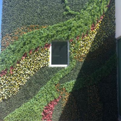 LA PAZ - CALLE TEPEACA  | Venta y renta en Puebla