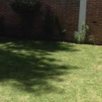 CALLE TIKAL + | Venta y renta en Puebla