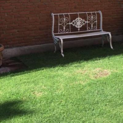 CAMPESTRE PARAÍSO + | Venta y renta en Puebla
