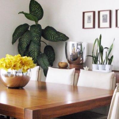 EL SECRETO ## | Vendo y Rento