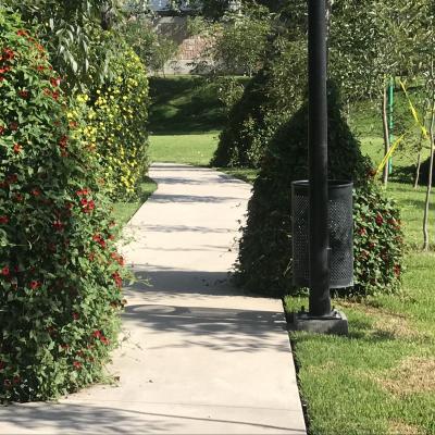 ARBOLEDAS DE ZAVALETA + | Vendo y Rento