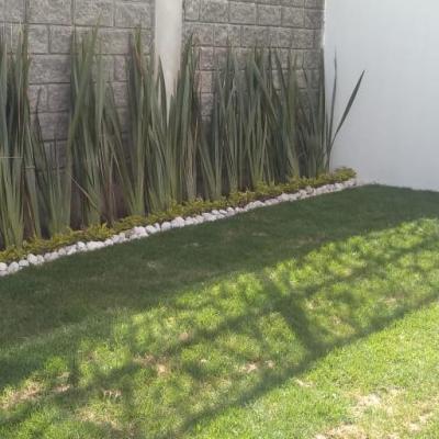 MONTE OLIVO  CAMINO A LA CARCAÑA ++ | Venta y renta en Puebla