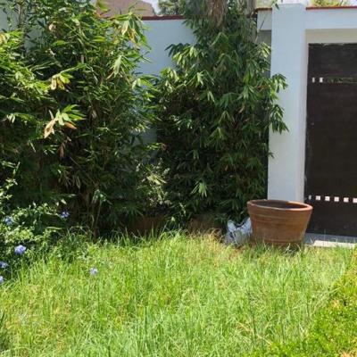 SANTA CRUZ GUADALUPE + | Venta y renta en Puebla