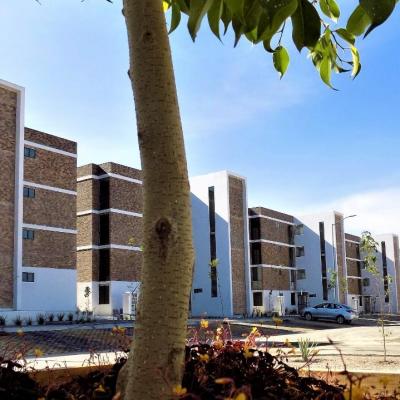 HACIENDA SANTO DOMINGO (11 SUR Y 135 PONIENTE) ## | Vendo y Rento