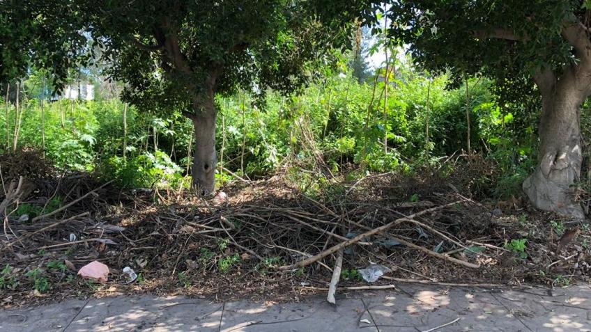 Terreno en Venta, FRACCIONAMIENTO LA ALFONSINA ATLIXCO + | Se encuentra ubicado en Carretera internacional puebla atlixco , Atlixco | 