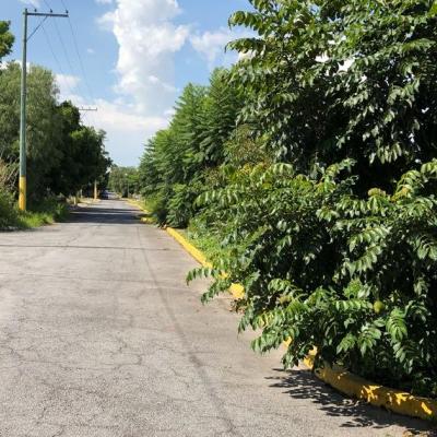 FRACCIONAMIENTO LA ALFONSINA ATLIXCO + | Vendo y Rento