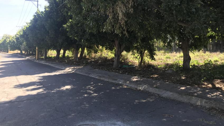 Terreno en Venta, FRACCIONAMIENTO LA ALFONSINA ATLIXCO + | Se encuentra ubicado en Carretera internacional puebla atlixco , Atlixco | 