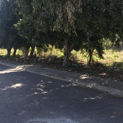 FRACCIONAMIENTO LA ALFONSINA ATLIXCO + | Vendo y Rento