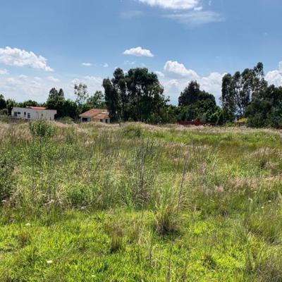 CHIPILO - A METROS DE PIE DE CARRETERA ##