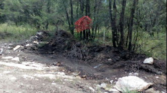 Terreno en Venta, HARAS DEL BOSQUE (ENTRADA POR CARRETERA DEL CERESO A ALPUYECA) ## | Se encuentra ubicado en Flor del Bosque, Puebla | 