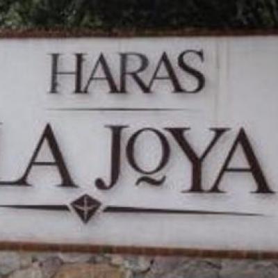 HARAS LA JOYA # | Vendo y Rento