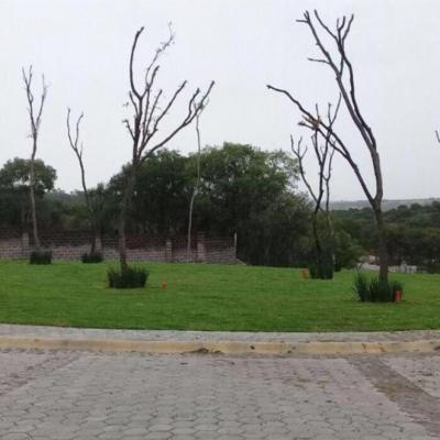 TERRENO EN FRACC. SANTA TERESA, HARAS, FLOR DEL BOSQUE ## | Vendo y Rento