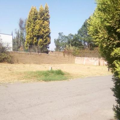ARBOLEDAS DE ZEREZOTLA # | Vendo y Rento