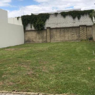 CORTIJO DE SAN MARTINITO ## | Vendo y Rento